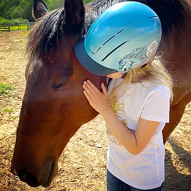 5 Paths To Success With Unmounted Horse Lessons