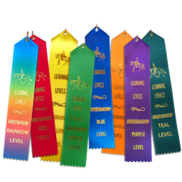 group of learning levels ribbons