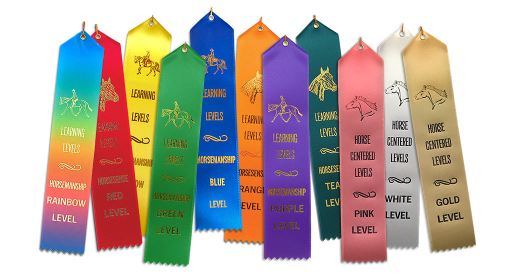 Display Sets - All Ribbons