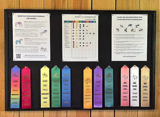 Learninglevels ribbons marketing display