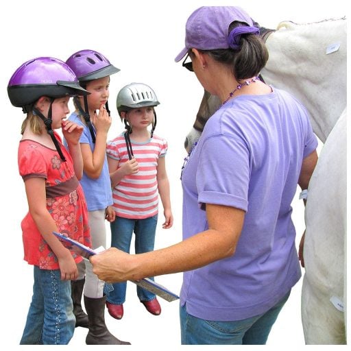 camp_pony-parts