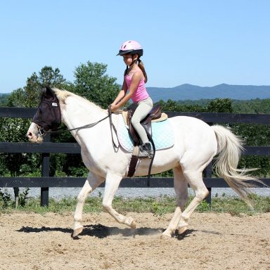 student cantering horse along arena rail