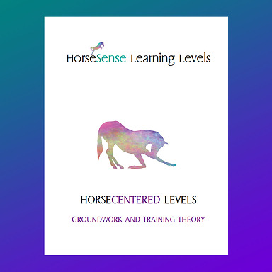 Curriculum Horsecentered