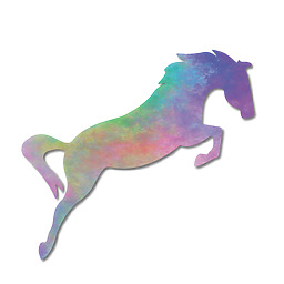 Horsesense Curriculum Horses Web Hm English