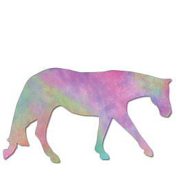 Horsesense Curriculum Horses Web Hm Western