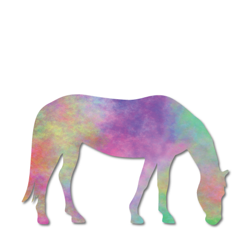 Horsesense Curriculum Horses Web Horsesense