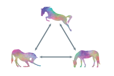 Horsesense curriculum triad email web384.png