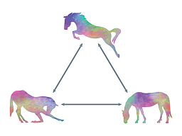 Horsesense Learning Levels with mounted Horsemanship, unmounted HorseSense and HorseCentered groundwork