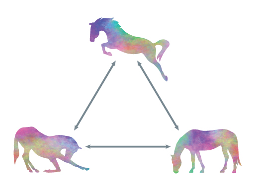 Horsesense Learning Levels with mounted Horsemanship, unmounted HorseSense and HorseCentered groundwork