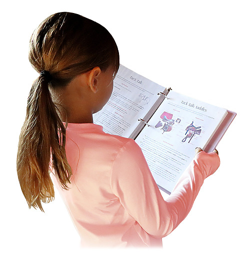 Learning levels study guide for students