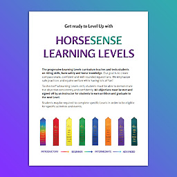 Levels Overview