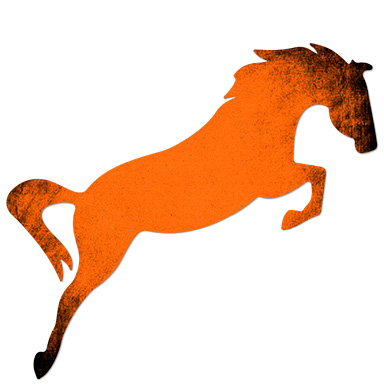 Levels Ponies Hm English Web Orange