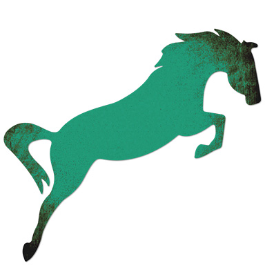 Levels Ponies Hm Englsih Web Teal