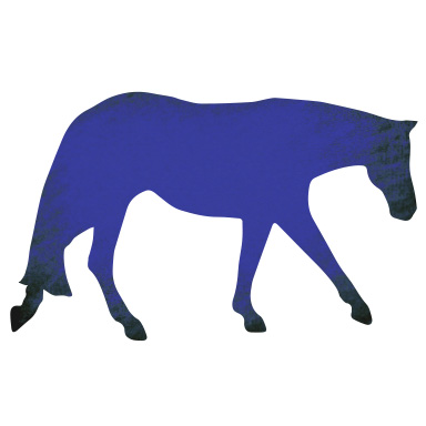 Levels Ponies Hm Western Web Blue