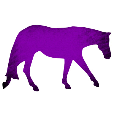 Levels Ponies Hm Western Web Purple