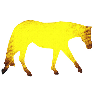 Levels Ponies Hm Western Web Yellow