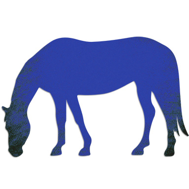 Levels Ponies Hs Web Blue
