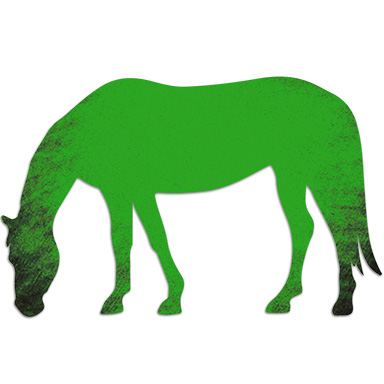 Levels Ponies Hs Web Green