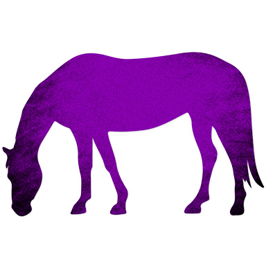 Levels Ponies Hs Web Purple