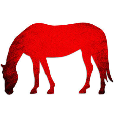 Levels Ponies Hs Web Red