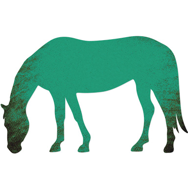 Levels Ponies Hs Web Teal