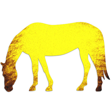 Levels Ponies Hs Web Yellow