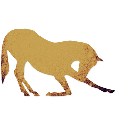 Levels Pony Hc Web Gold