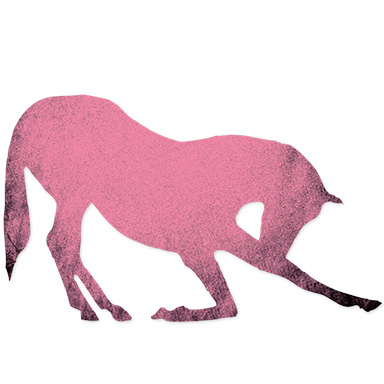 Levels Pony Hc Web Pinkl