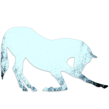 Levels Pony Hc Web White
