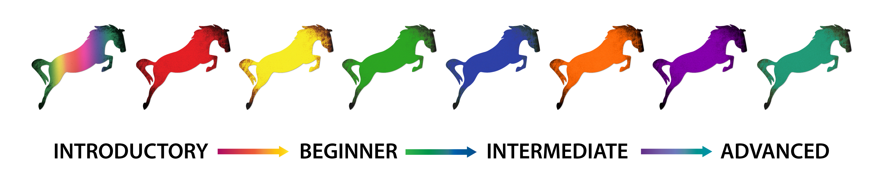 Levels Progression Horsemanship