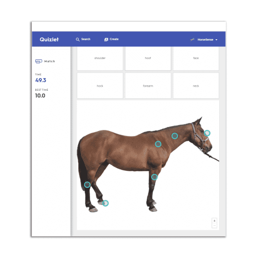 quizlet-match