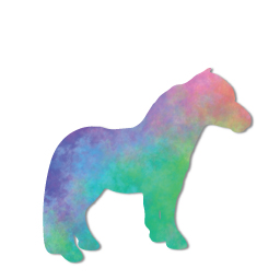 Rainbow Pony 256