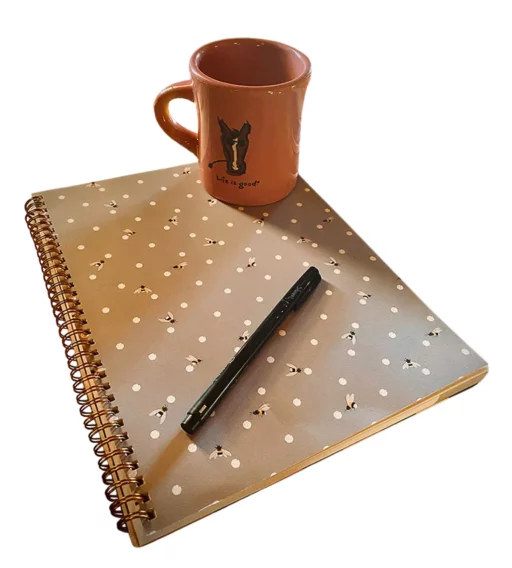 ready-for-lesson-plans-rev