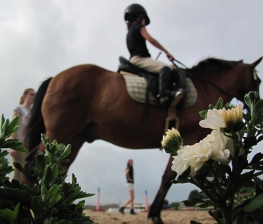 Rising Rider student rides horse with instructor and ground buddy watching